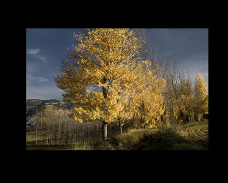 Color de Otoño